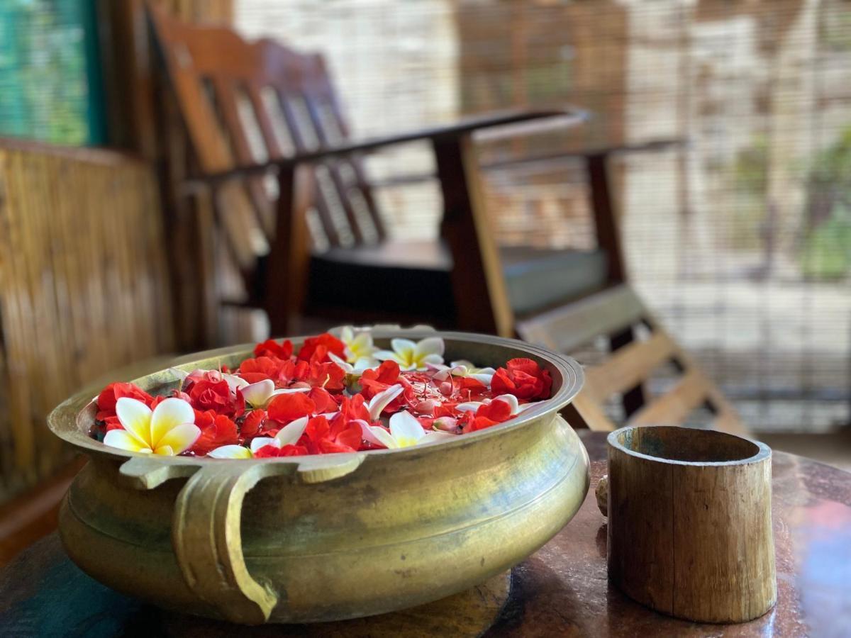 Wild Orchid Hotel Kala Pathar Beach Kültér fotó